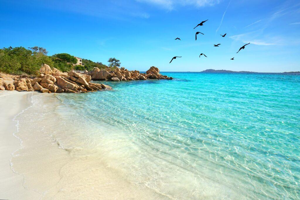 Weißer Sandstrand mit türkisblauem Wasser in Sardinien – ideal für ein Ferienhaus am Meer.